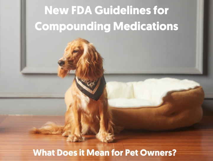 GFI 256 FDA Guidelines What does it mean for pet owners?